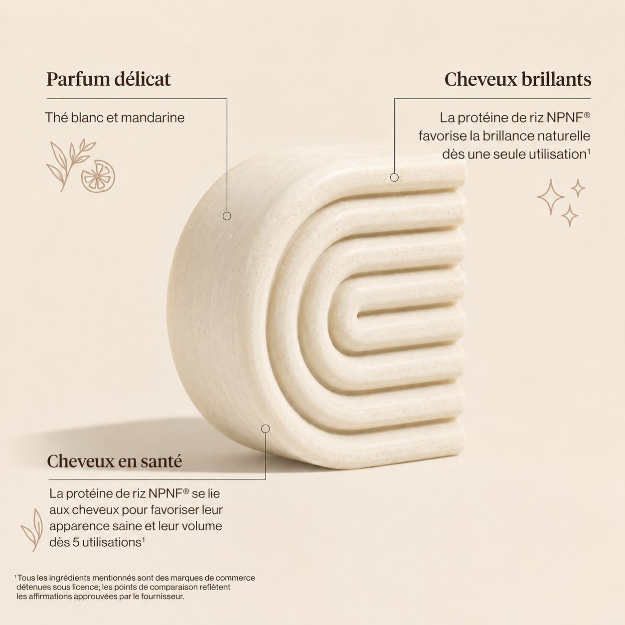 Shampoing et Revitalisant Volume & Croissance