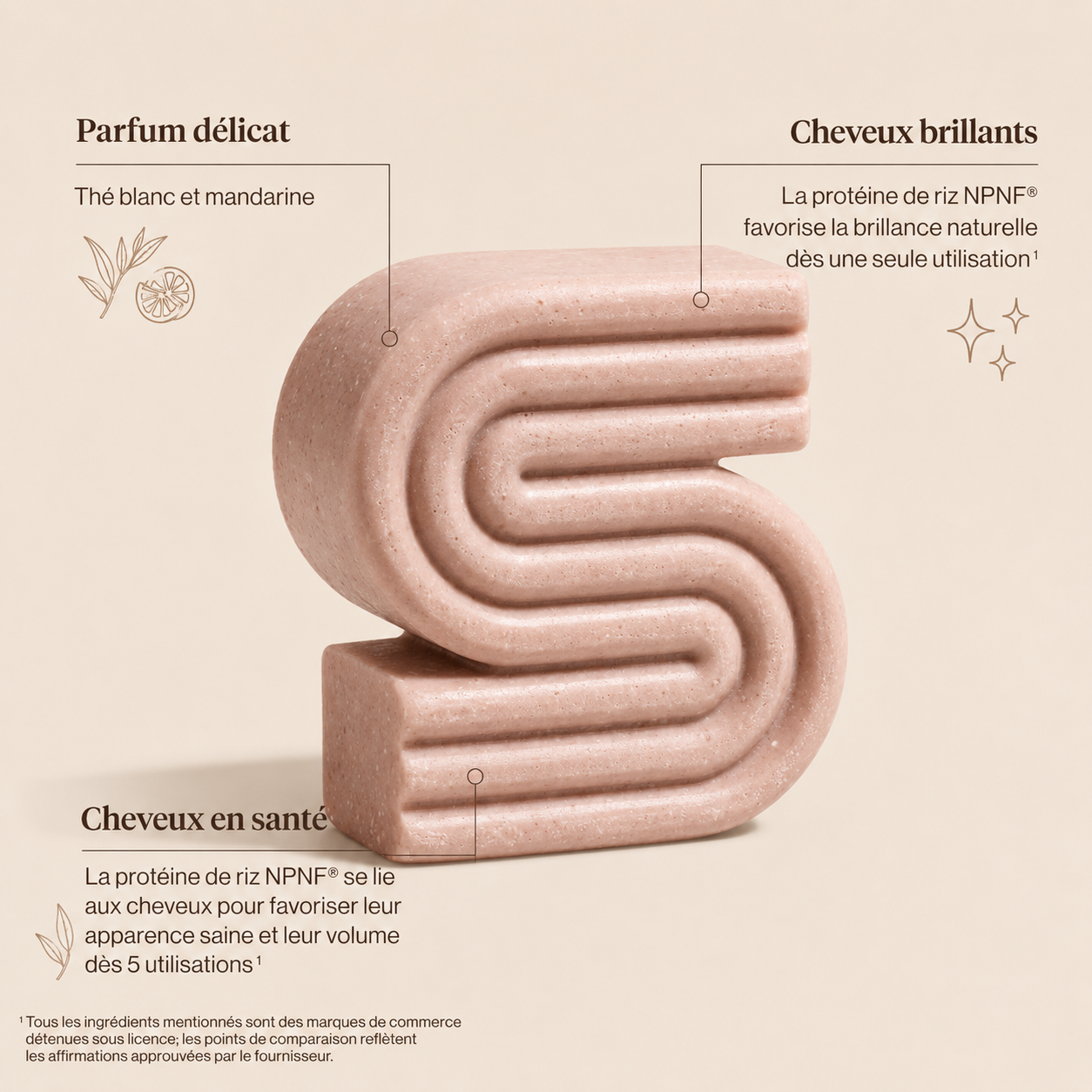 Shampoing et Revitalisant Volume & Croissance